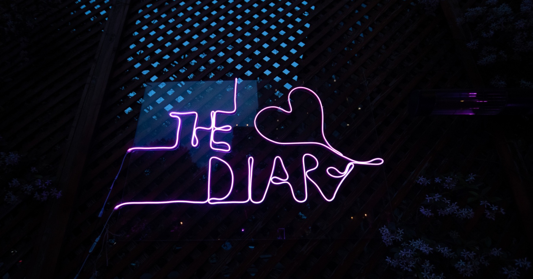 The Diary x Open Air Pre Party