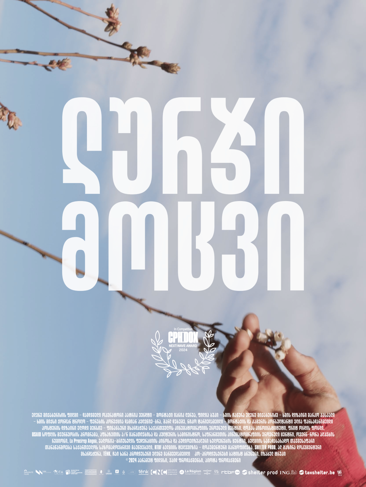 ლურჯი მოცვი, Blueberry Dreams, ელენე მიქაბერიძე, Elene Mikaberidze