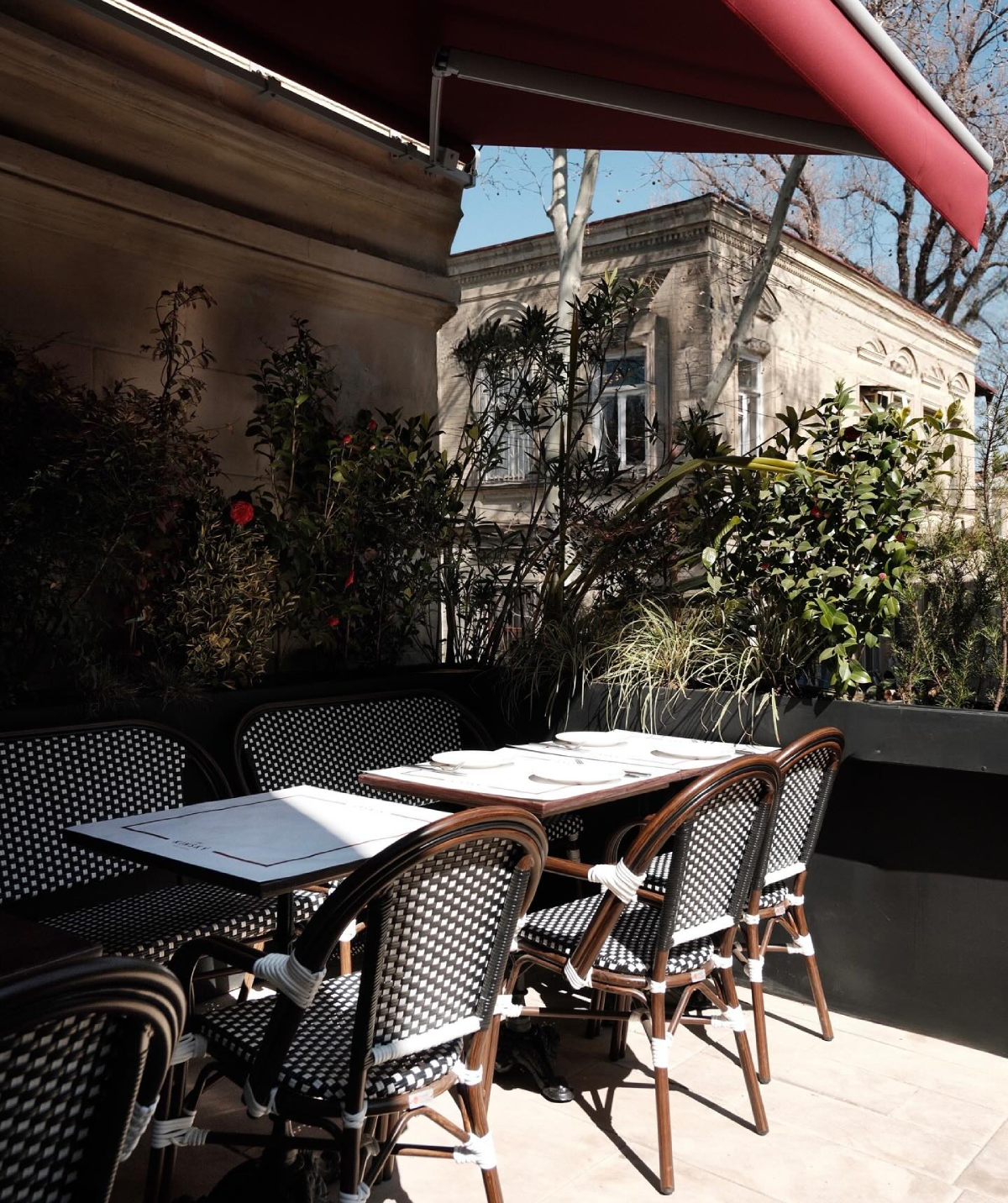 Chez Kinsky, Chez Kinsky თბილისი